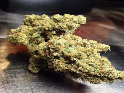 Buy Train Wreck Marijuana Strain Online